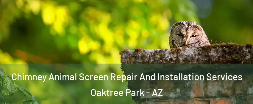 Chimney Animal Screen Repair And Installation Services Oaktree Park - AZ