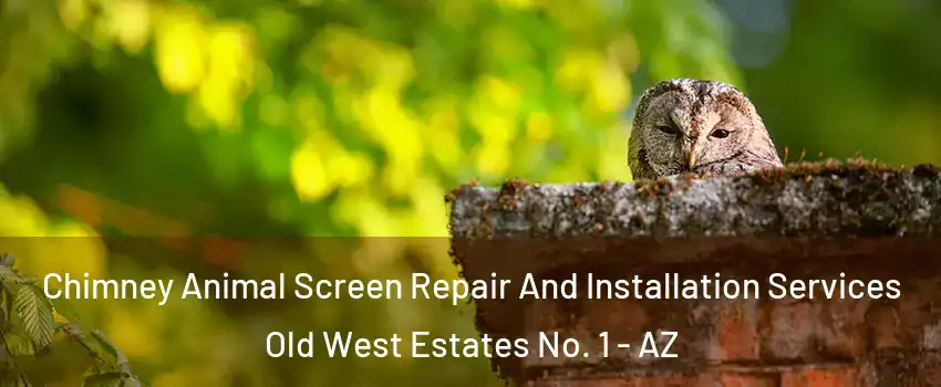 Chimney Animal Screen Repair And Installation Services Old West Estates No. 1 - AZ