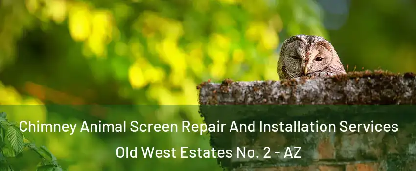 Chimney Animal Screen Repair And Installation Services Old West Estates No. 2 - AZ