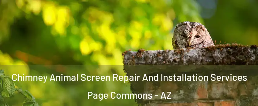 Chimney Animal Screen Repair And Installation Services Page Commons - AZ