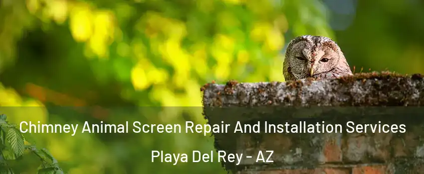 Chimney Animal Screen Repair And Installation Services Playa Del Rey - AZ
