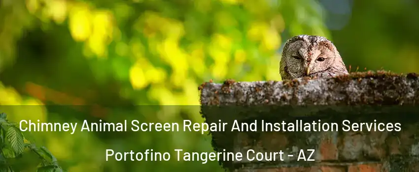 Chimney Animal Screen Repair And Installation Services Portofino Tangerine Court - AZ