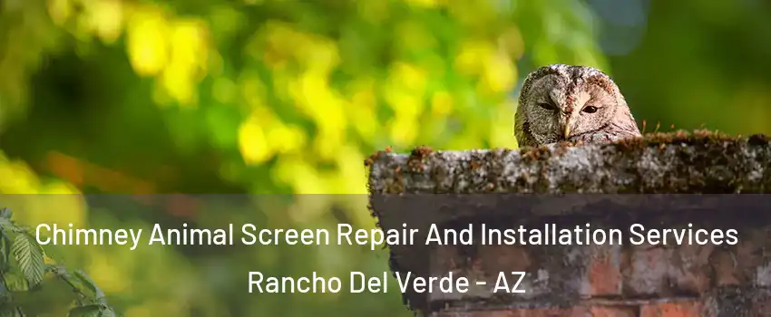 Chimney Animal Screen Repair And Installation Services Rancho Del Verde - AZ