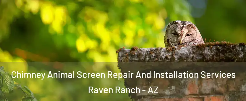Chimney Animal Screen Repair And Installation Services Raven Ranch - AZ