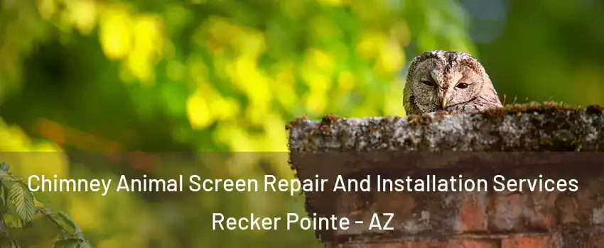 Chimney Animal Screen Repair And Installation Services Recker Pointe - AZ