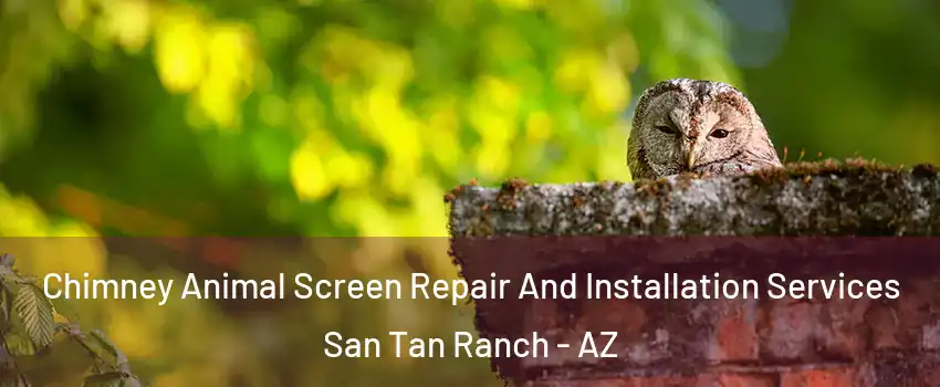 Chimney Animal Screen Repair And Installation Services San Tan Ranch - AZ