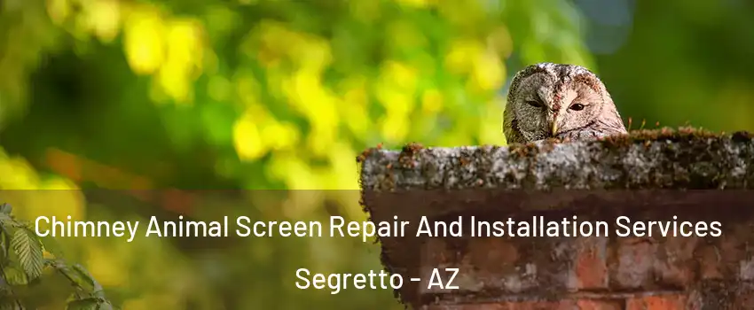 Chimney Animal Screen Repair And Installation Services Segretto - AZ