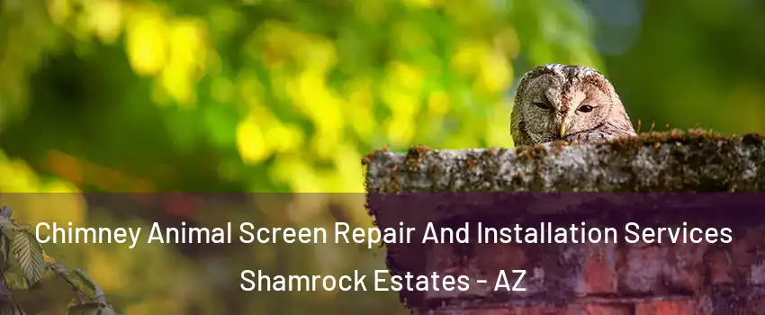 Chimney Animal Screen Repair And Installation Services Shamrock Estates - AZ