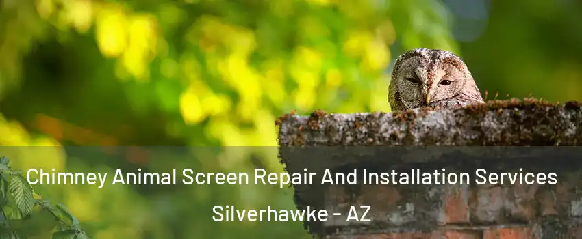Chimney Animal Screen Repair And Installation Services Silverhawke - AZ