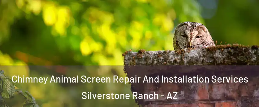 Chimney Animal Screen Repair And Installation Services Silverstone Ranch - AZ