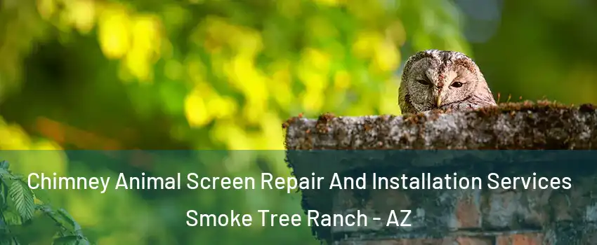 Chimney Animal Screen Repair And Installation Services Smoke Tree Ranch - AZ