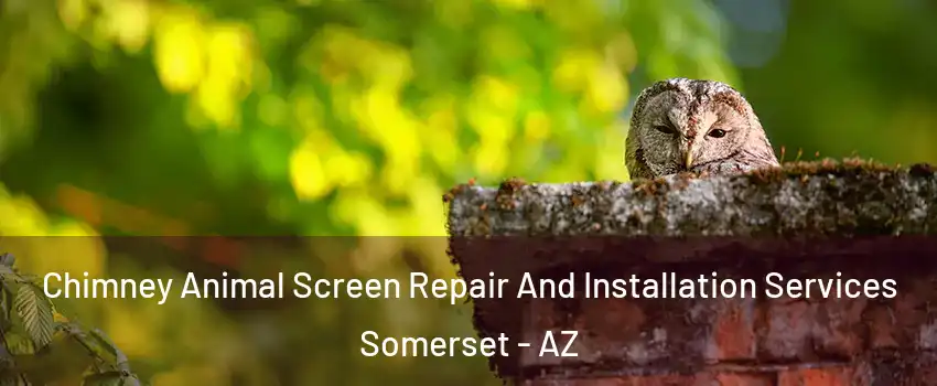 Chimney Animal Screen Repair And Installation Services Somerset - AZ