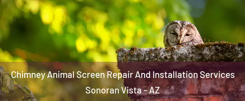 Chimney Animal Screen Repair And Installation Services Sonoran Vista - AZ