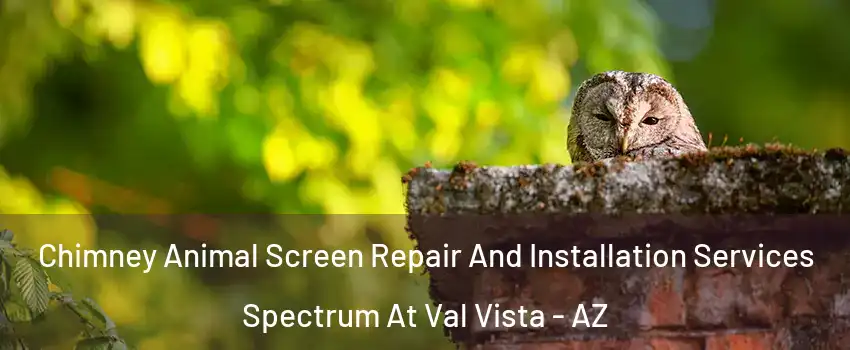 Chimney Animal Screen Repair And Installation Services Spectrum At Val Vista - AZ