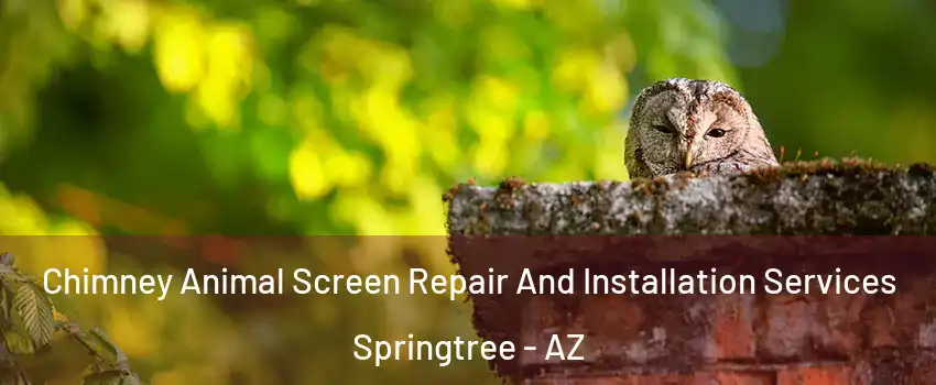 Chimney Animal Screen Repair And Installation Services Springtree - AZ
