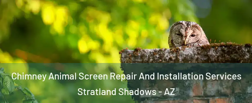 Chimney Animal Screen Repair And Installation Services Stratland Shadows - AZ