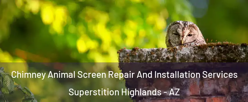 Chimney Animal Screen Repair And Installation Services Superstition Highlands - AZ
