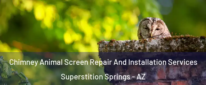 Chimney Animal Screen Repair And Installation Services Superstition Springs - AZ