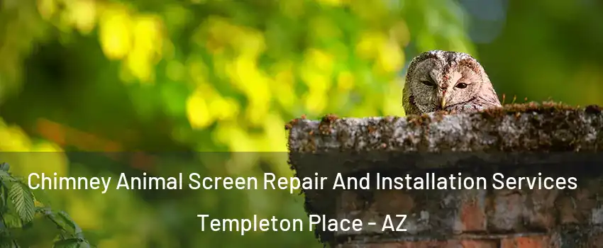 Chimney Animal Screen Repair And Installation Services Templeton Place - AZ