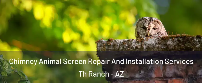 Chimney Animal Screen Repair And Installation Services Th Ranch - AZ