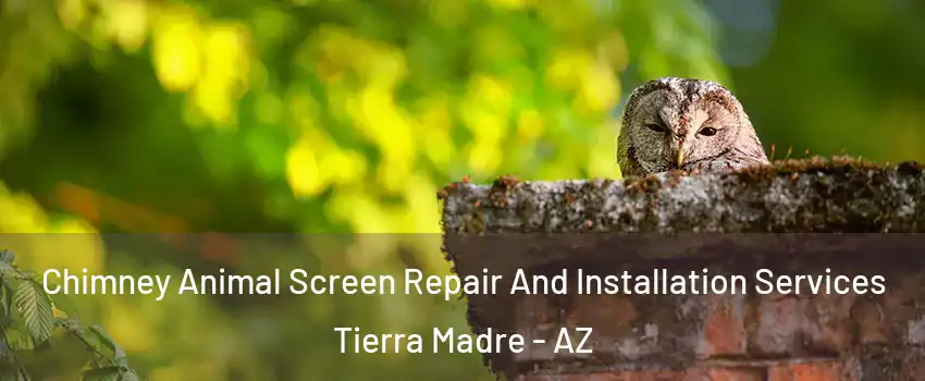 Chimney Animal Screen Repair And Installation Services Tierra Madre - AZ