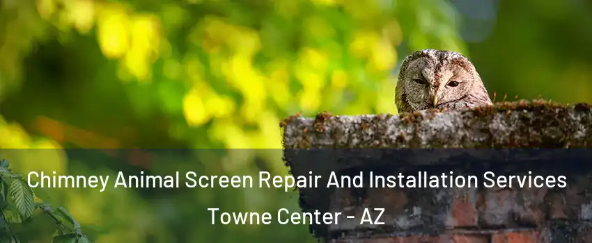Chimney Animal Screen Repair And Installation Services Towne Center - AZ