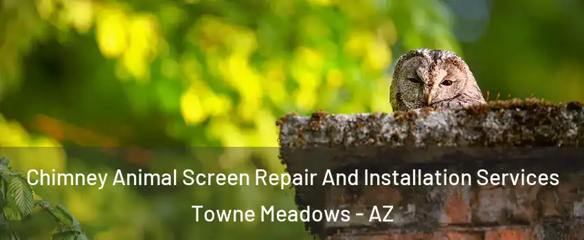 Chimney Animal Screen Repair And Installation Services Towne Meadows - AZ