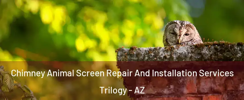 Chimney Animal Screen Repair And Installation Services Trilogy - AZ