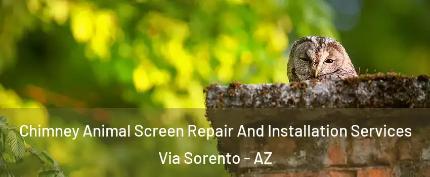 Chimney Animal Screen Repair And Installation Services Via Sorento - AZ