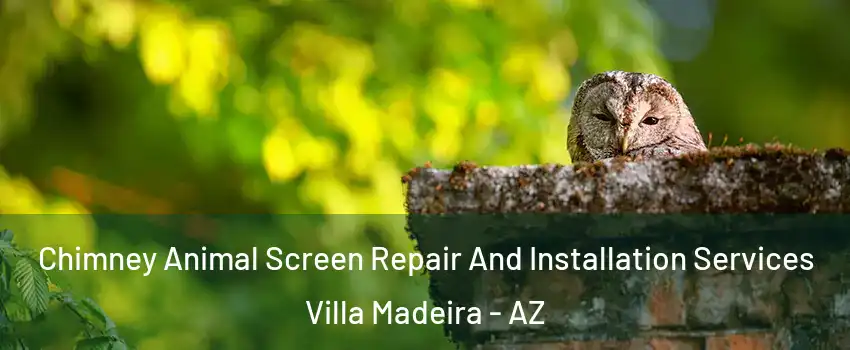 Chimney Animal Screen Repair And Installation Services Villa Madeira - AZ