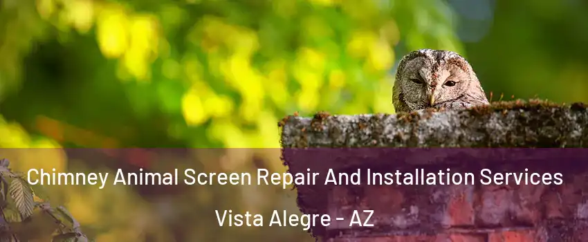 Chimney Animal Screen Repair And Installation Services Vista Alegre - AZ