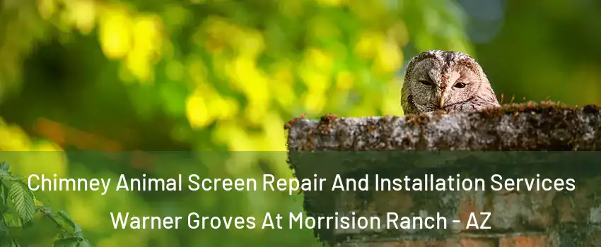 Chimney Animal Screen Repair And Installation Services Warner Groves At Morrision Ranch - AZ