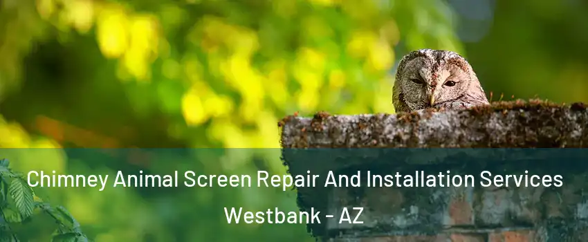 Chimney Animal Screen Repair And Installation Services Westbank - AZ