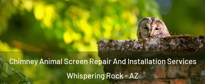 Chimney Animal Screen Repair And Installation Services Whispering Rock - AZ