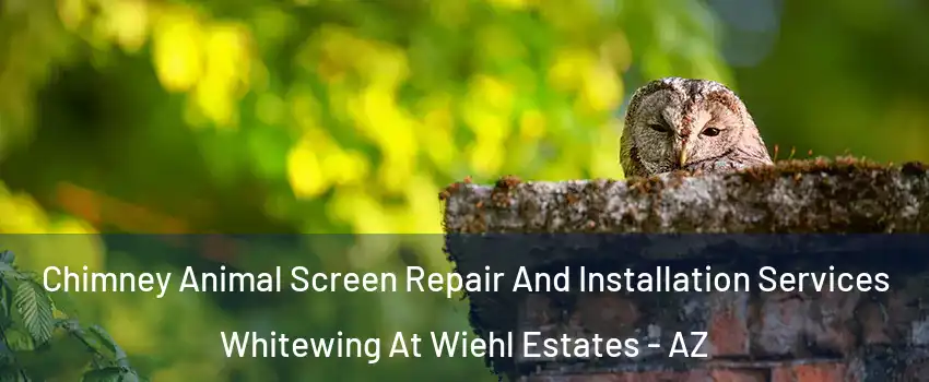Chimney Animal Screen Repair And Installation Services Whitewing At Wiehl Estates - AZ