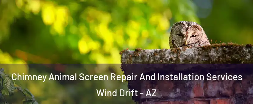 Chimney Animal Screen Repair And Installation Services Wind Drift - AZ