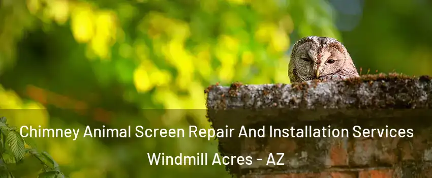 Chimney Animal Screen Repair And Installation Services Windmill Acres - AZ