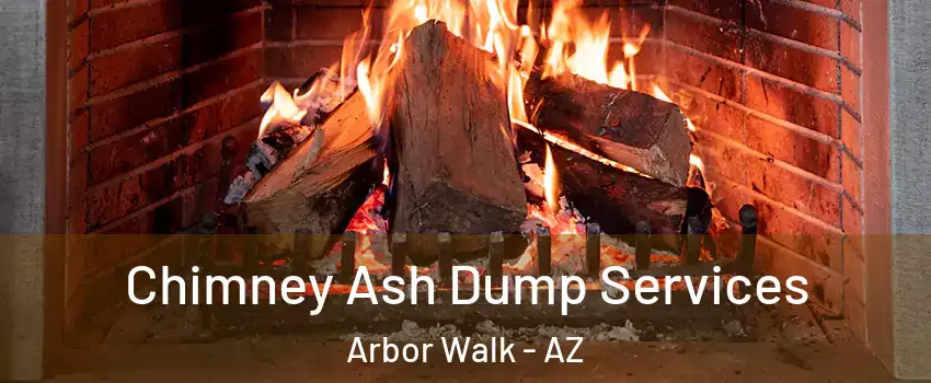 Chimney Ash Dump Services Arbor Walk - AZ