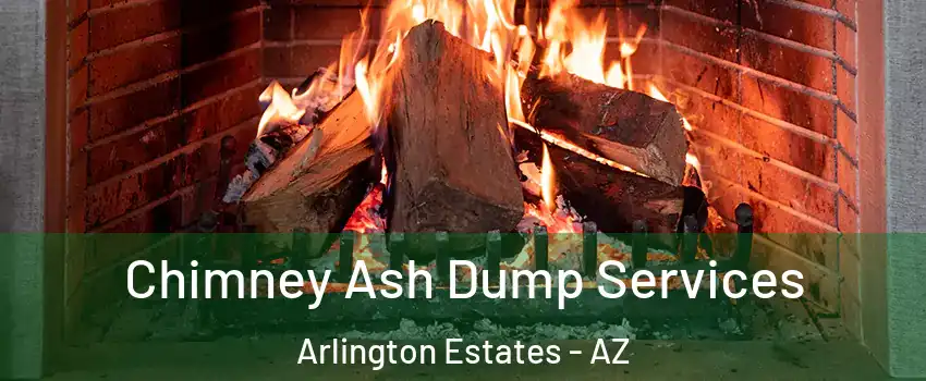 Chimney Ash Dump Services Arlington Estates - AZ
