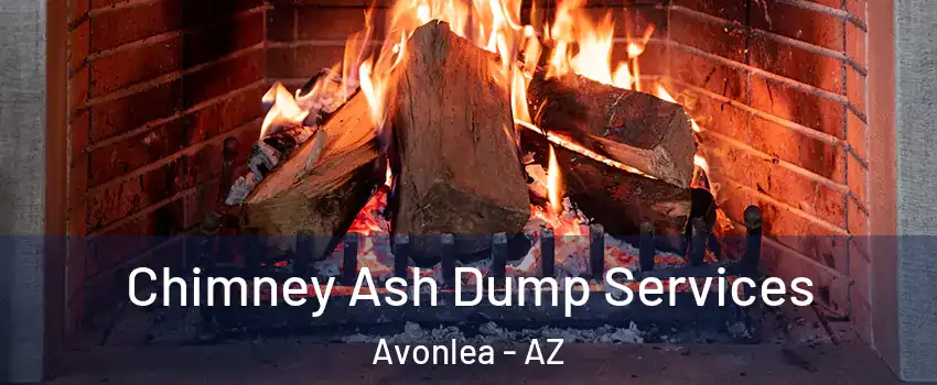 Chimney Ash Dump Services Avonlea - AZ