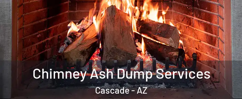 Chimney Ash Dump Services Cascade - AZ
