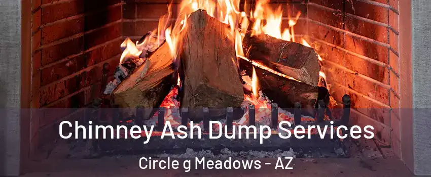 Chimney Ash Dump Services Circle g Meadows - AZ