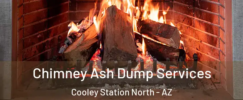 Chimney Ash Dump Services Cooley Station North - AZ