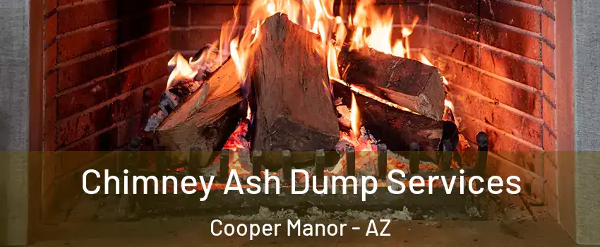 Chimney Ash Dump Services Cooper Manor - AZ