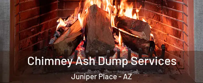 Chimney Ash Dump Services Juniper Place - AZ