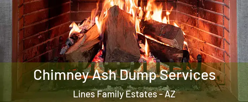 Chimney Ash Dump Services Lines Family Estates - AZ