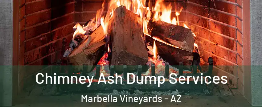 Chimney Ash Dump Services Marbella Vineyards - AZ