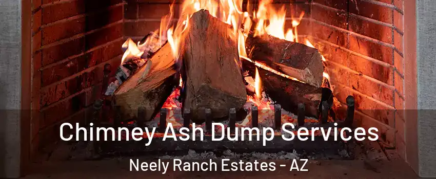 Chimney Ash Dump Services Neely Ranch Estates - AZ