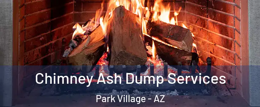 Chimney Ash Dump Services Park Village - AZ