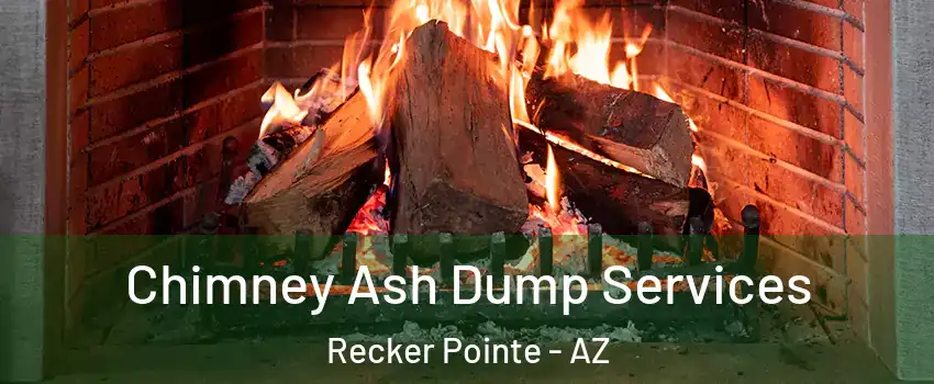 Chimney Ash Dump Services Recker Pointe - AZ
